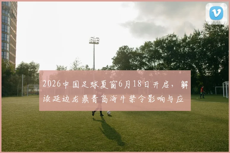 2026中国足球夏窗6月18日开启,解读延边龙鼎青岛海牛禁令影响与应对策略